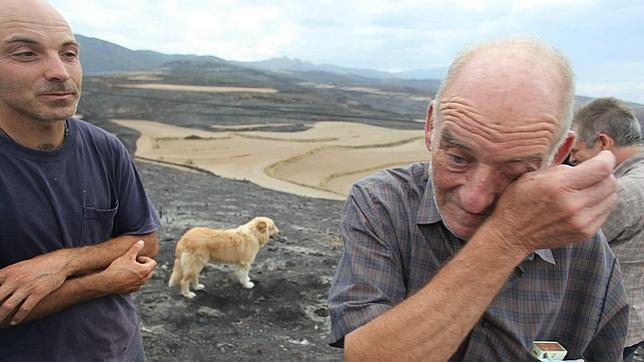 Once personas muertas en incendios forestales en lo que va de año