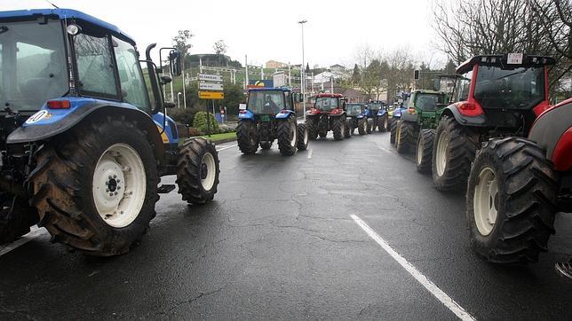 La crisis del sector lácteo amenaza con llevar al cierre a la mitad de las explotaciones