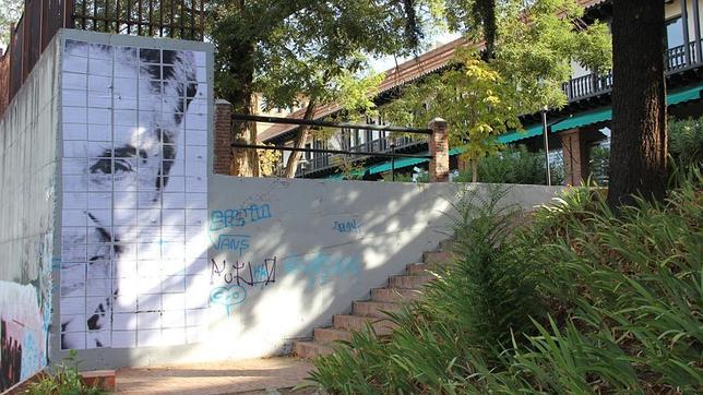 Homenaje «efímero» a Chavela Vargas en la Residencia de Estudiantes