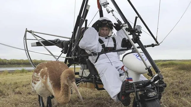 Putin guía a una bandada de grullas montado en un ala delta