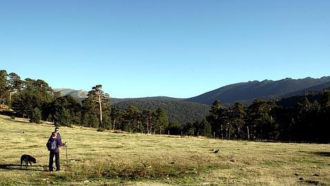 Luz verde a la declaración del Parque Nacional de Guadarrama