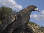 Los neandertales, presumidos, se adornaban con plumas de aves