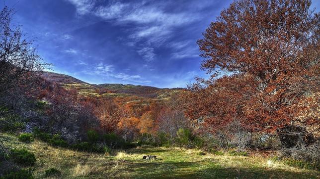 Planes para hacer en otoño