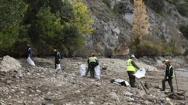 La CHD se ocupa desde este lunes de limpiar el cauce del río Duero a su paso por Soria