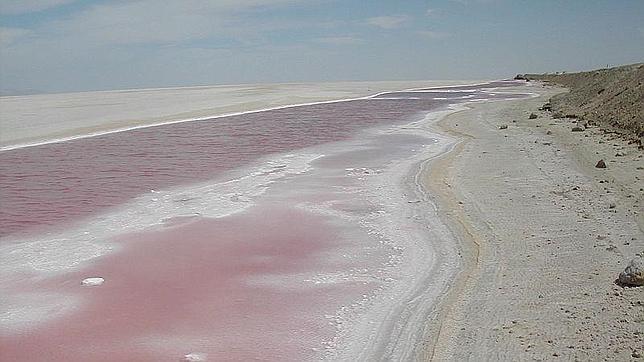 Logran revivir bacterias que llevaban más de cien años dormidas
