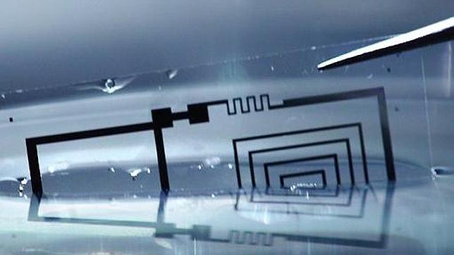 Diseñan circuitos electrónicos que se disuelven en el agua o dentro del cuerpo