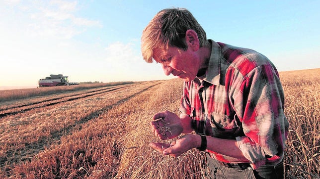 Último aviso: en el límite de otra crisis alimentaria