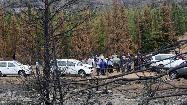 La variedad de especies vegetales explica el enigma de los cipreses ignífugos