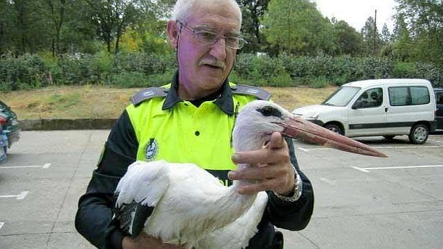 Los ángeles de la guarda de la fauna madrileña