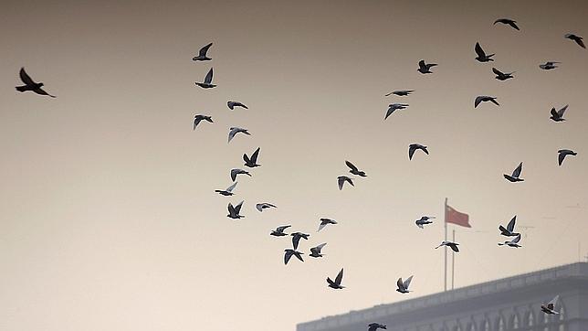 China extrema su seguridad hasta límites insospechados ante el congreso del PC