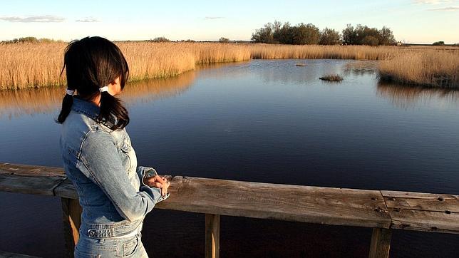 El Instituto Geológico estudiará «los nuevos ojos del Guadiana»