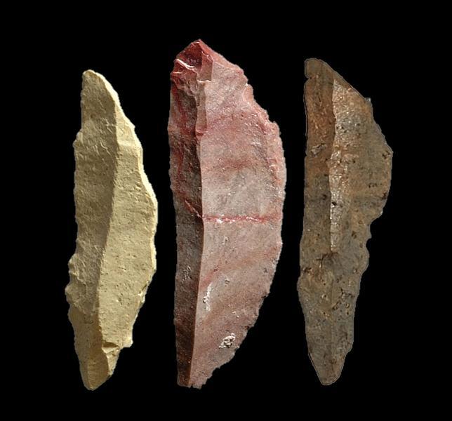 Las armas que pudieron acabar con los neandertales