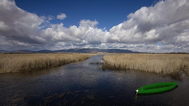 WWF y Ecologistas en Acción alertan de la «falsa recuperación» las Tablas de Daimiel