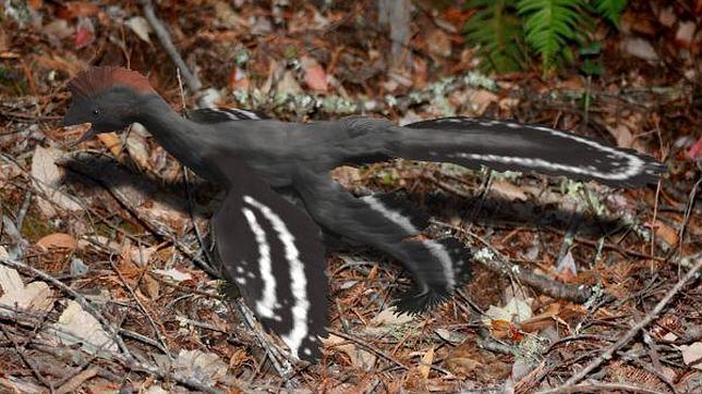 Desvelan cómo era el vuelo de los primeros dinosaurios alados