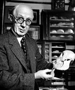 El fraude del hombre de Piltdown, cien años de un misterio sin resolver