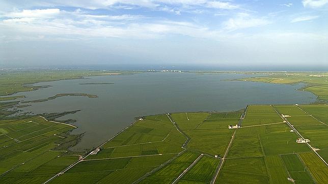 Ninguna CC.AA. posee planes para proteger a sus taxones amenazados