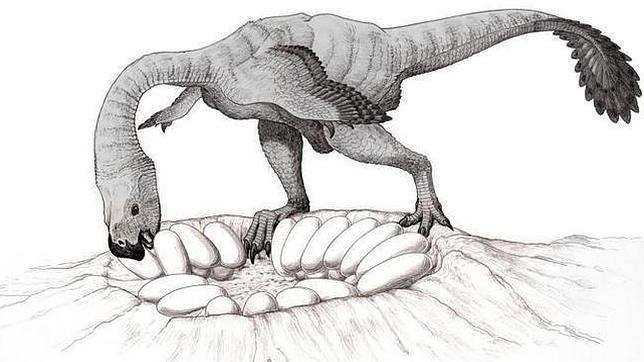 ¿Podían los pesados dinosaurios sentarse sobre sus huevos?