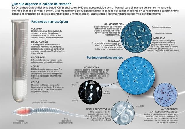 Desciende la calidad del semen de los jóvenes de Murcia y Almería en la última década