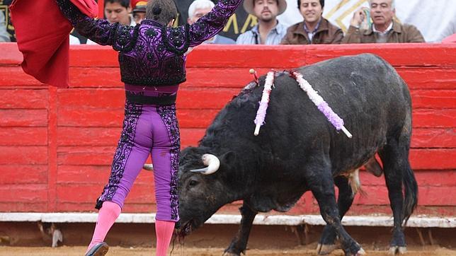 Luz verde a la creación de la Mesa de la Tauromaquia de Castilla y León