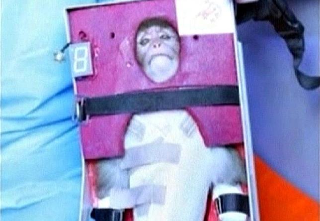 Irán envía un mono al espacio