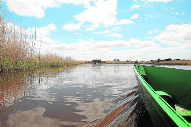 Las Tablas de Daimiel tuvieron 156.000 visitas durante 2012
