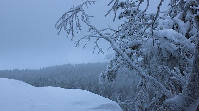 Finlandia: viaje al país que provoca la envidia educativa en Europa