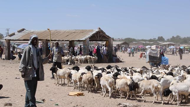 ¿Vuelve la «Gran Somalia»?