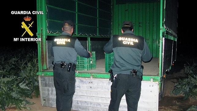 Detenidos por robar alcachofas y corderos