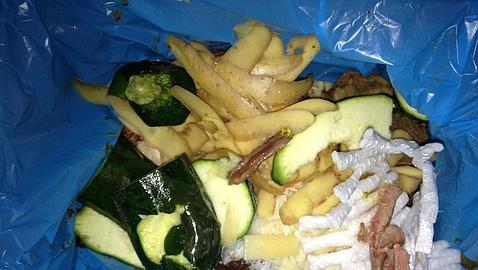 Cómo reducir el desperdicio de alimentos en hogares hasta en un 70%