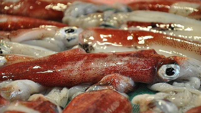 Los ecosistemas del Mediterráneo son más sensibles a la variabilidad climática global de lo que se pensaba