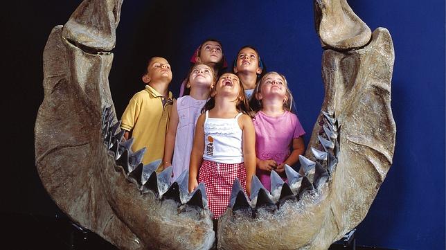 Diez planes emocionantes para hacer con los niños