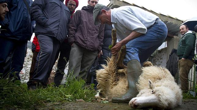 Nuevo curso en la Escuela de Pastores de Andalucía