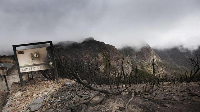 El PP desvela omisión de datos en el informe del fuego de La Gomera