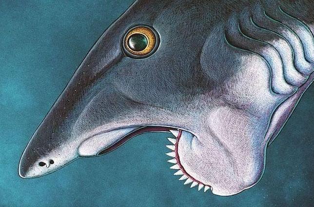 El «tiburón» que serraba a sus presas