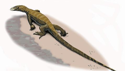 Un lagarto con 125 millones de años