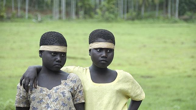 El Tribunal Supremo indio revoca la orden que prohíbe los «safaris humanos»