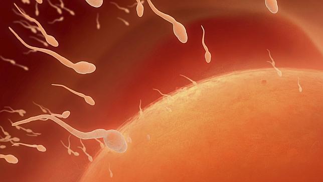 La crisis triplica tratamientos con donación de óvulos por el retraso maternidad