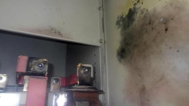 Una rata pudo provocar el último apagón de Fukushima