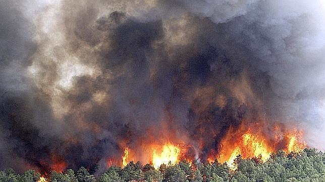 Diseñan un dispositivo que alerta de un incendio forestal en 30 segundos