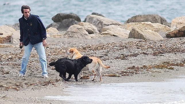 Marbella no sancionará a Aznar por pasear a sus perros sueltos y sin bozal por la playa