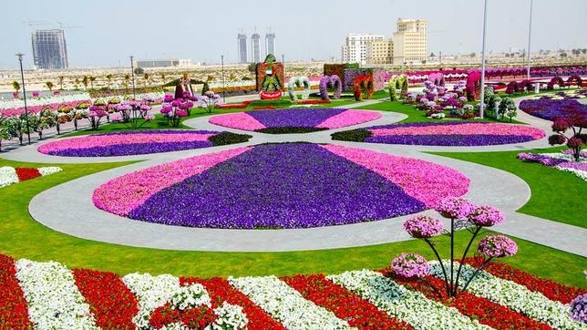 El jardín de flores más grande del mundo está en un desierto