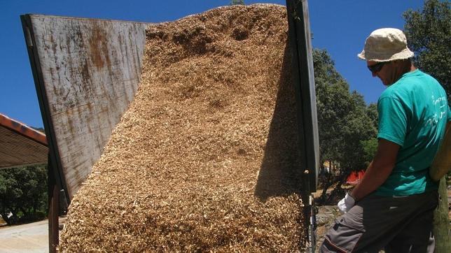 Aragón inaugura su primera central de biomasa