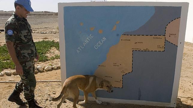 EE.UU. enfada a Marruecos por pedir que  se vigilen los derechos humanos en el Sahara