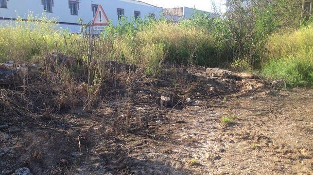 El juez y el fiscal dudan sobre la imputación del hermano de Carcaño