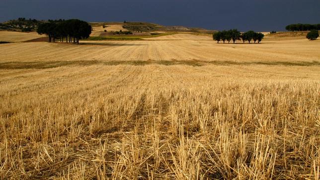 Castilla y León: un contrapeso, un futuro abierto