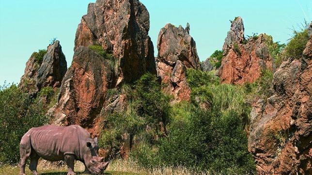 Plantean cerrar Cabárceno algunos meses al año por su alto coste