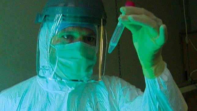 Detallan la primera historia genética de la Europa moderna con ADN de 7.500 años