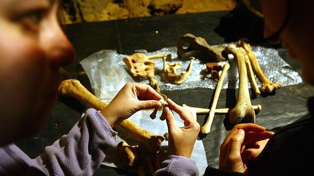 Los neandertales asturianos eran diestros