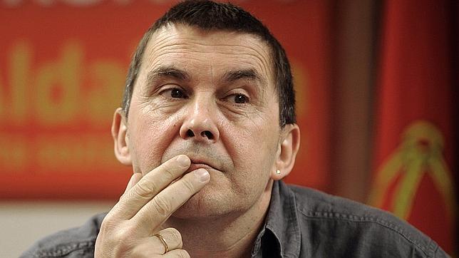 El Constitucional estudiará el recurso de Otegi y Usabiaga por el caso Bateragune