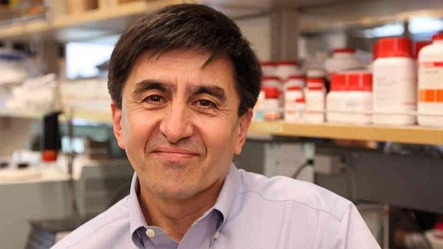 «Esta técnica no se utilizará para crear clones humanos»